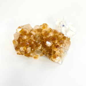 Crystals NZ: Citrine crystal cluster
