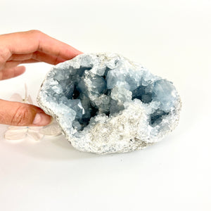 Crystals NZ: Celestite crystal cluster