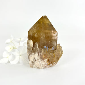 Crystals NZ: Kundalini Natural Citrine Clustered Point - extremely rare