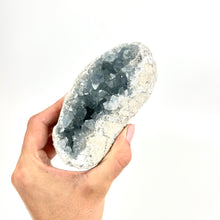 Load image into Gallery viewer, Crystals NZ: Celestite crystal cluster
