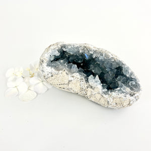 Crystals NZ: Celestite crystal cluster