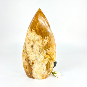 Large Crystals NZ: Golden healer quartz crystal with black tourmaline inclusion 1.262kg - rare