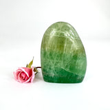 Crystals NZ: Green fluorite crystal polished free form