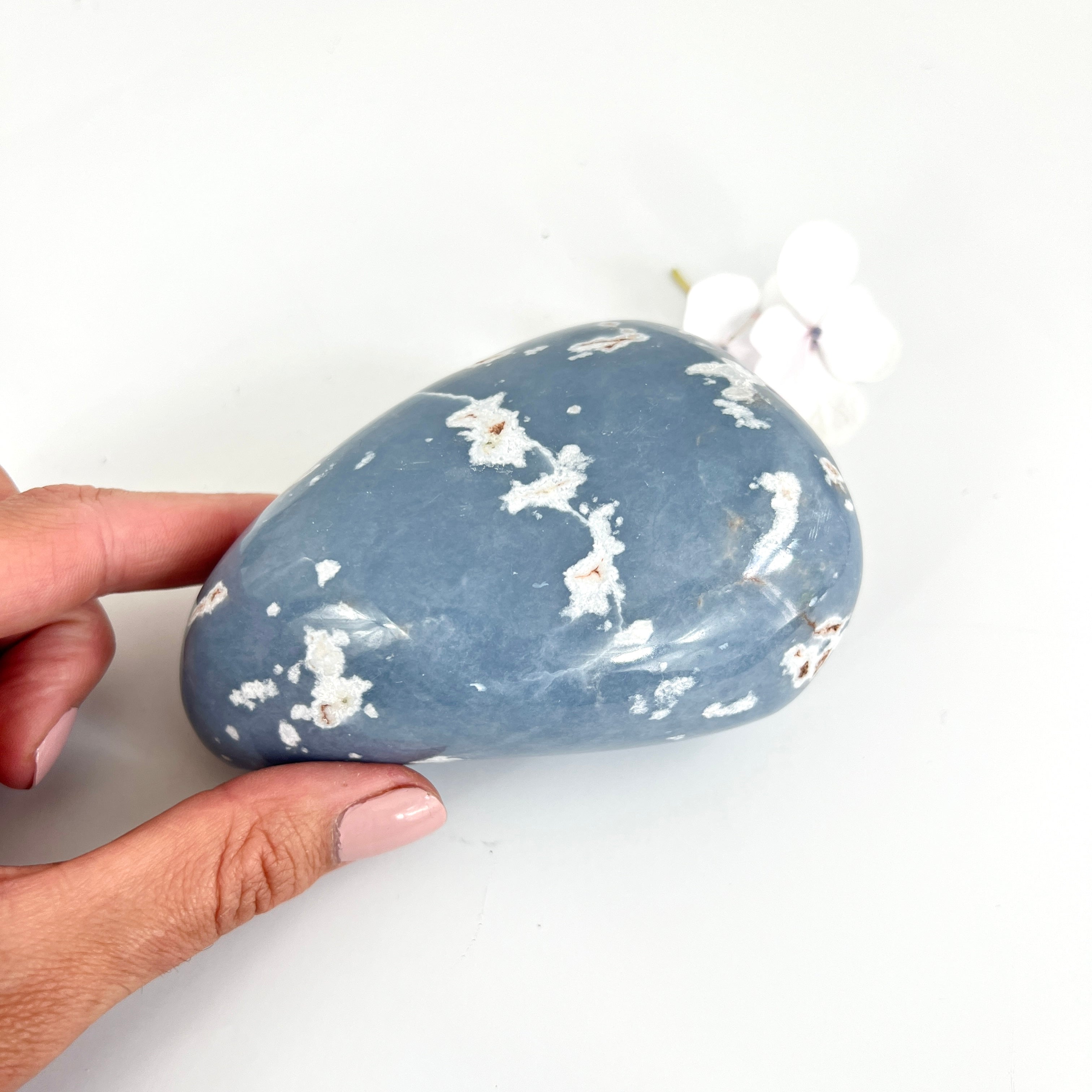 Large Crystals NZ: Large angelite polished crystal free form