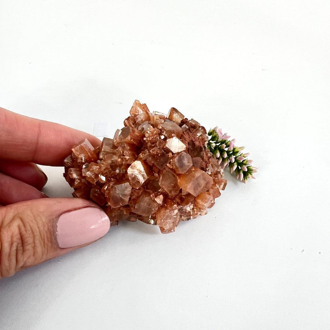 Crystals NZ: Aragonite sputniks crystal cluster