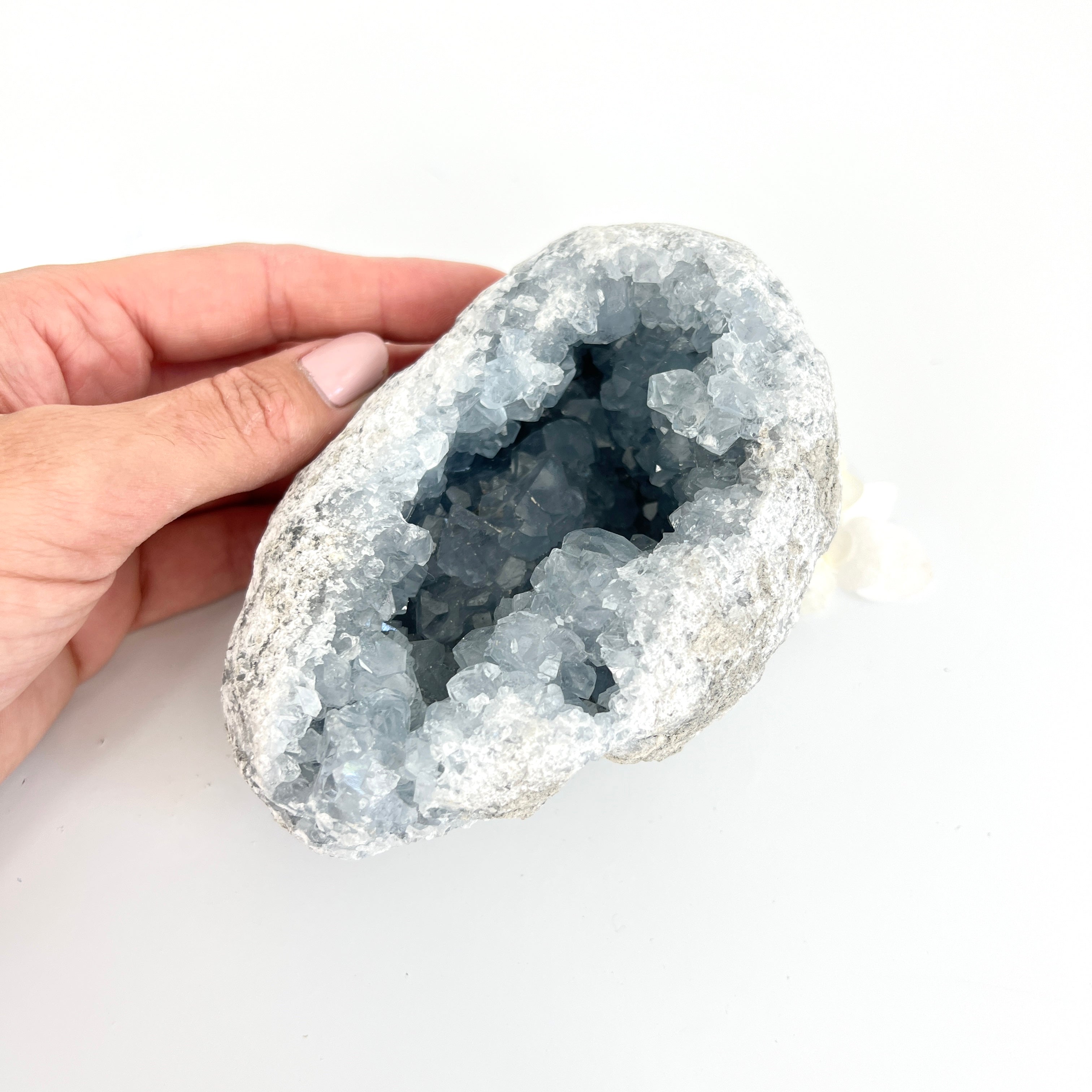 Celestite crystal geode cluster | ASH&STONE Crystals NZ