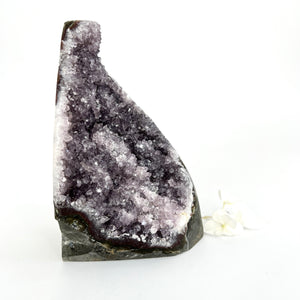 Crystals NZ: Amethyst crystal cluster