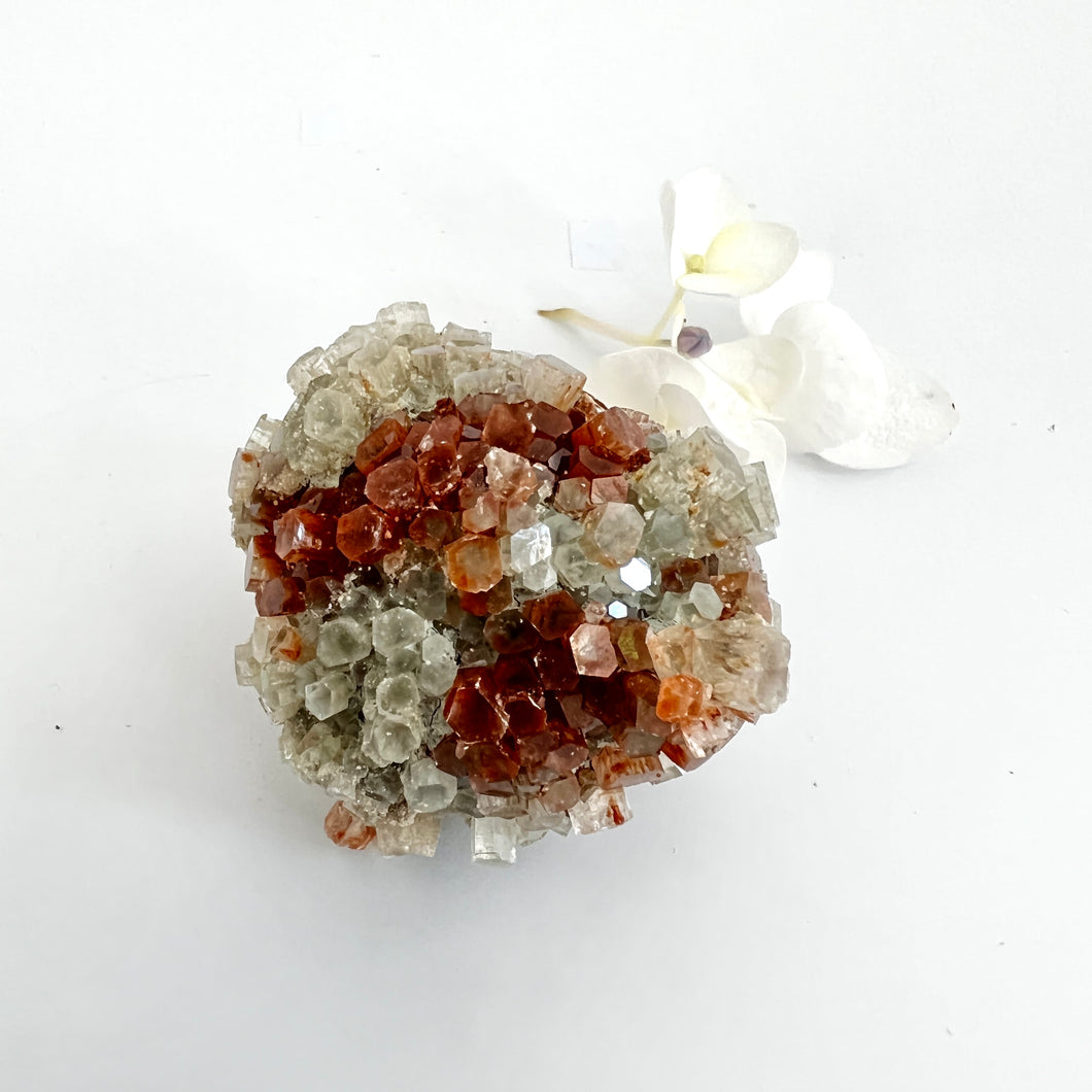 Crystals NZ: Aragonite crystal cluster