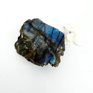 Crystals NZ: Blue flash labradorite crystal