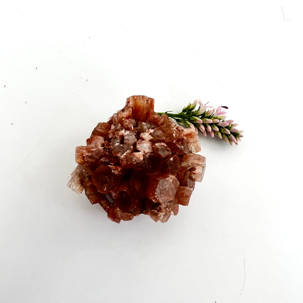 Crystals NZ: Aragonite crystal cluster