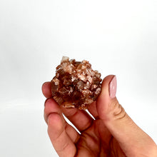 Load image into Gallery viewer, Crystals NZ: Aragonite crystal cluster
