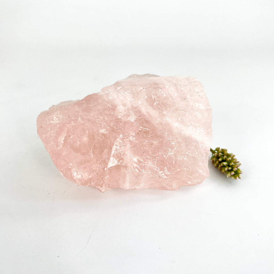 Crystals NZ: A-Grade raw rose quartz crystal chunk