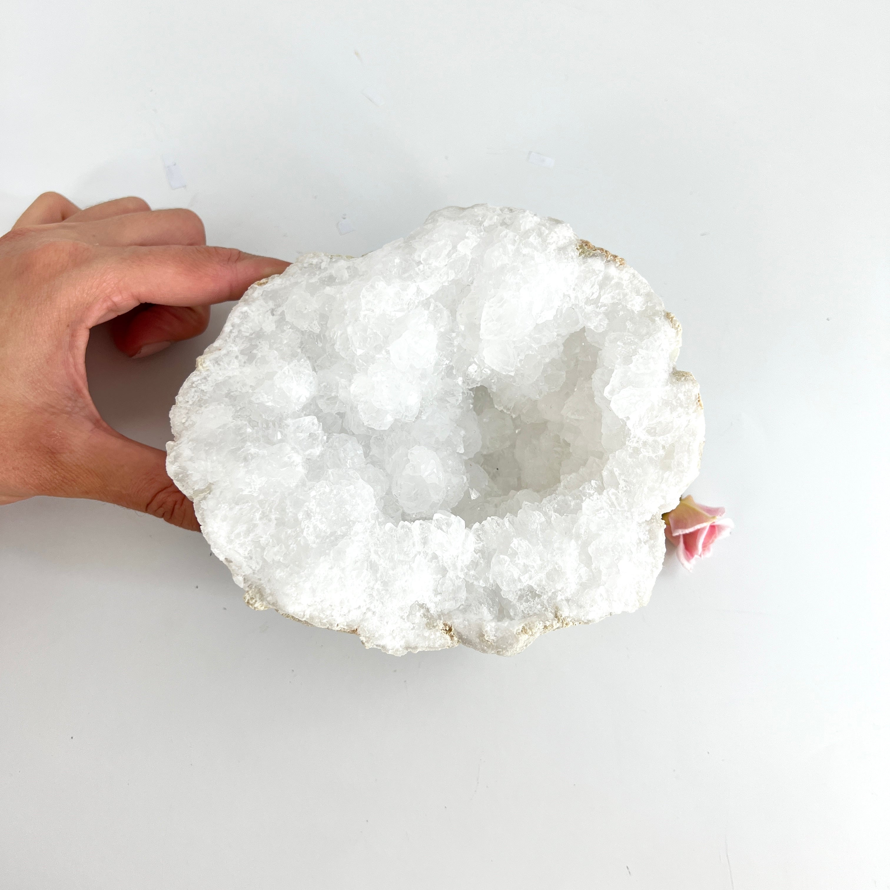 Large Crystals NZ: Large clear quartz crystal geode half
