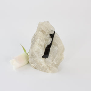 Crystals NZ: Black tourmaline in quartz crystal