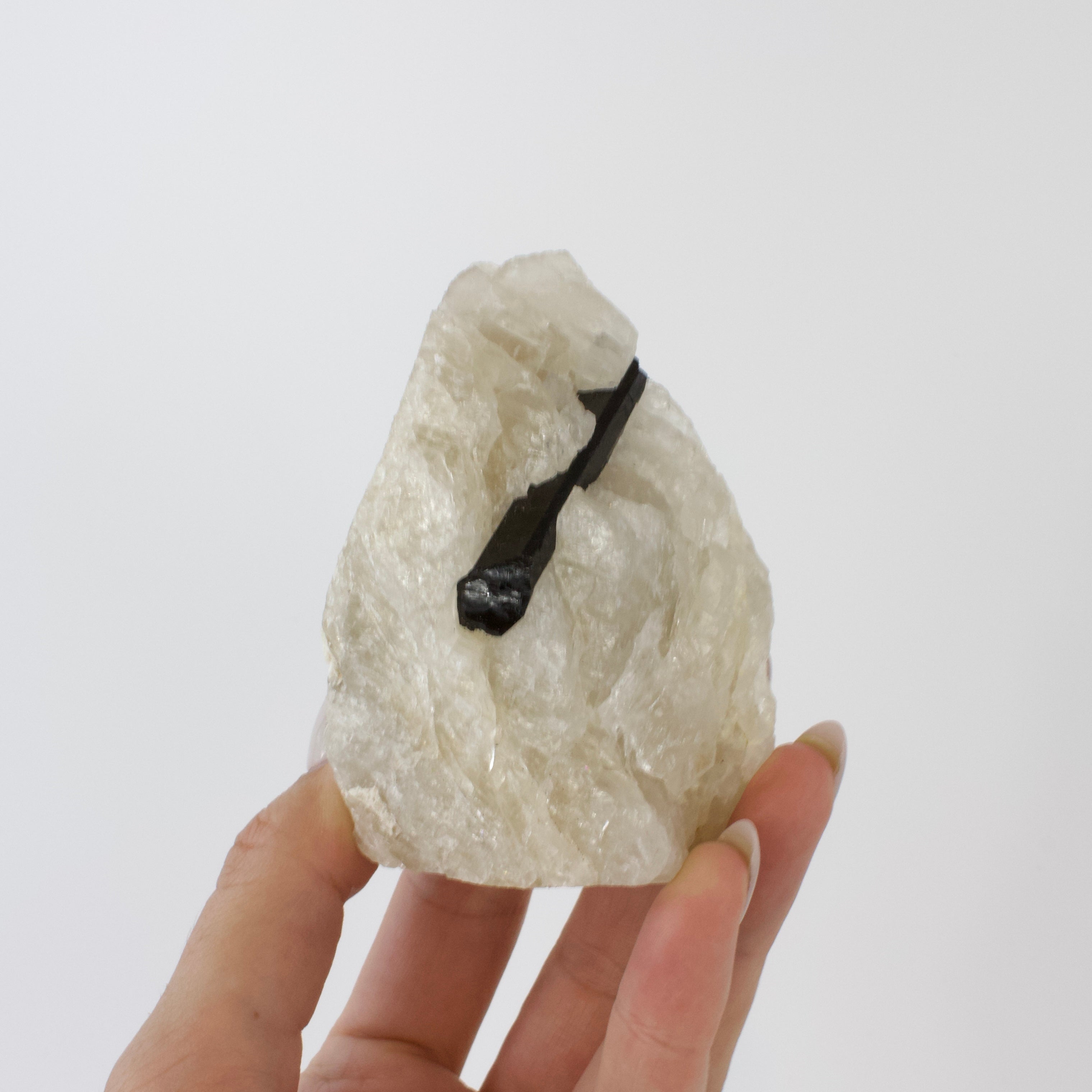 Crystals NZ: Black tourmaline in quartz crystal