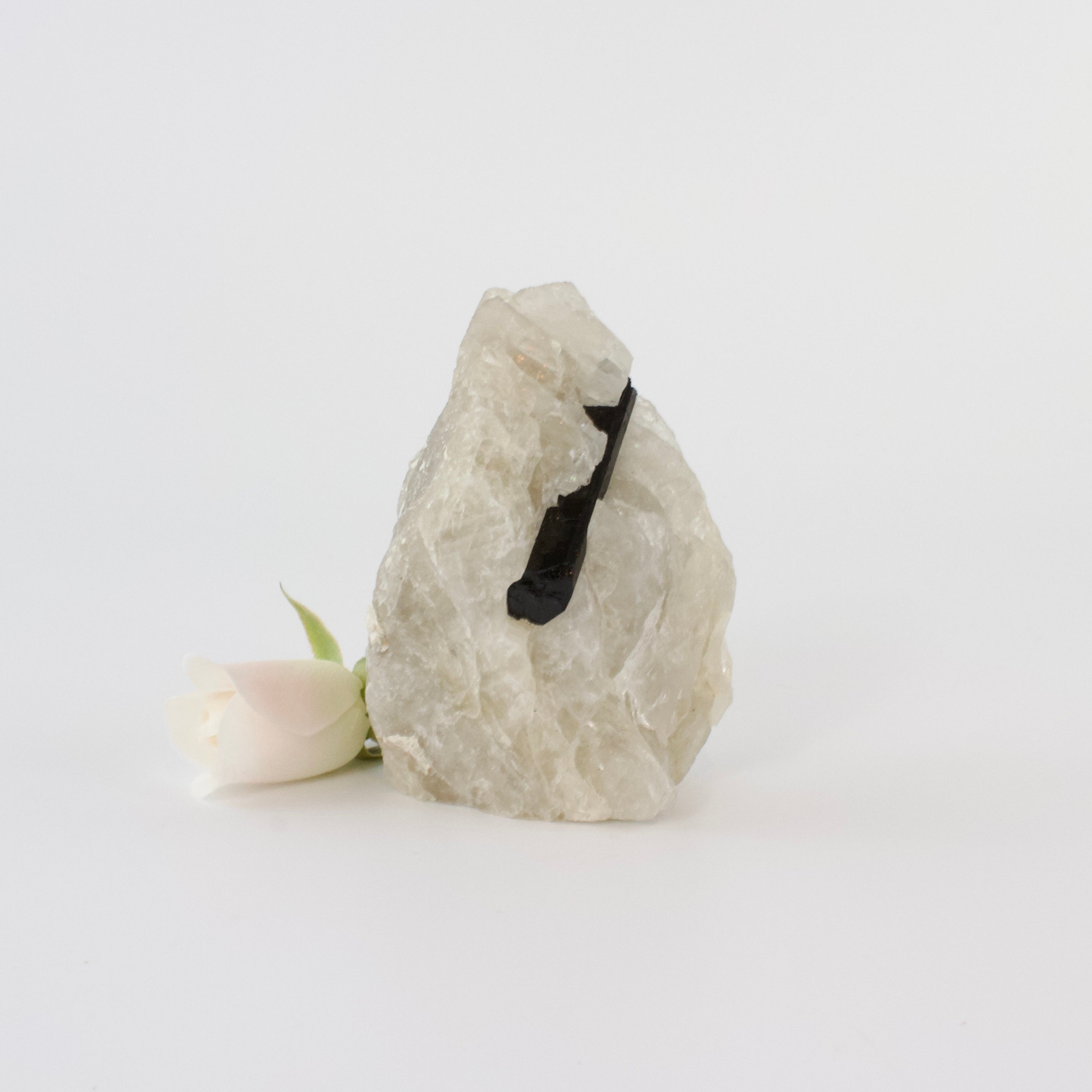 Crystals NZ: Black tourmaline in quartz crystal