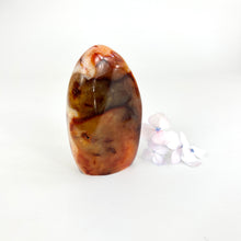Load image into Gallery viewer, Crystals NZ: Carnelian crystal polished freeform
