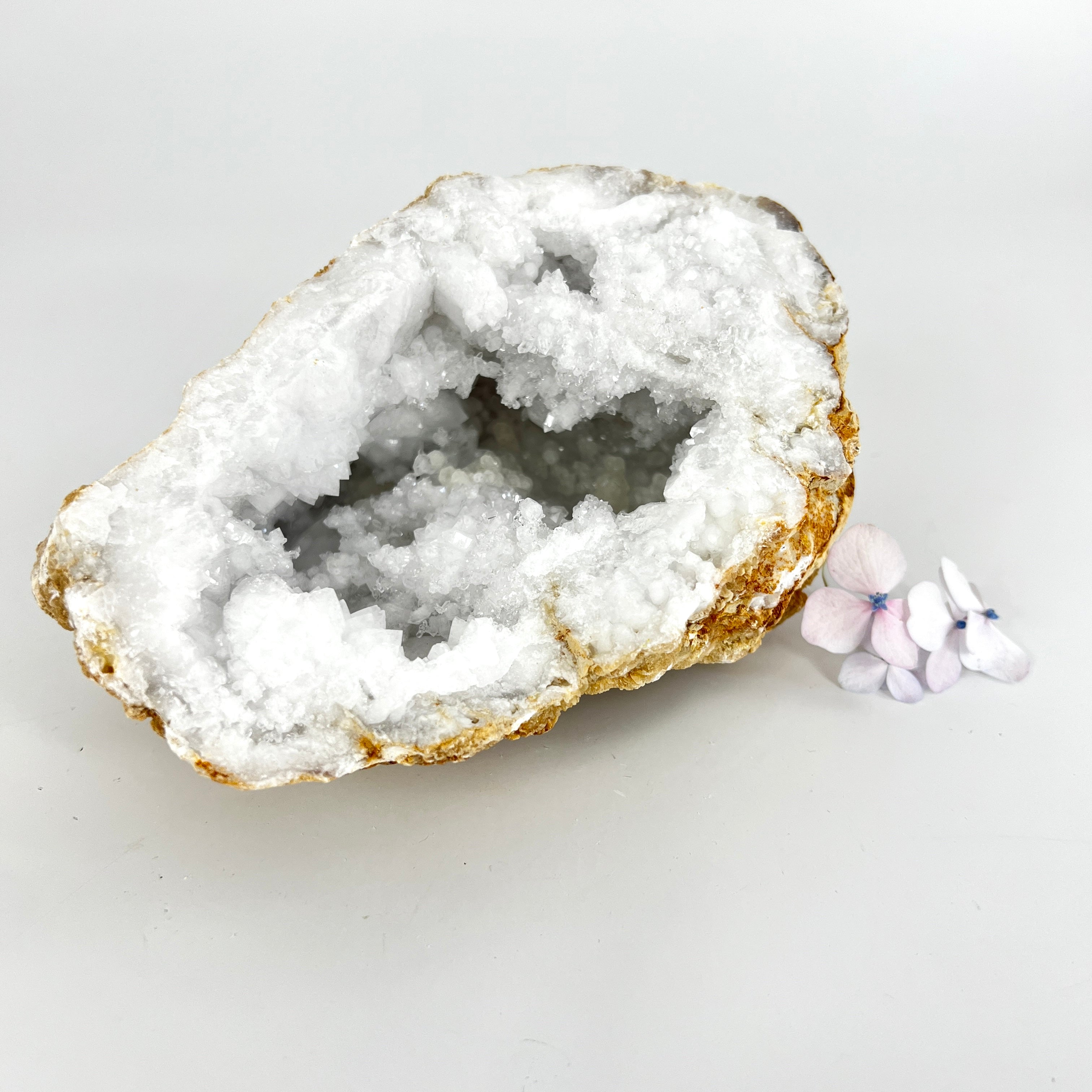 Large Crystals NZ: Clear quartz crystal geode half