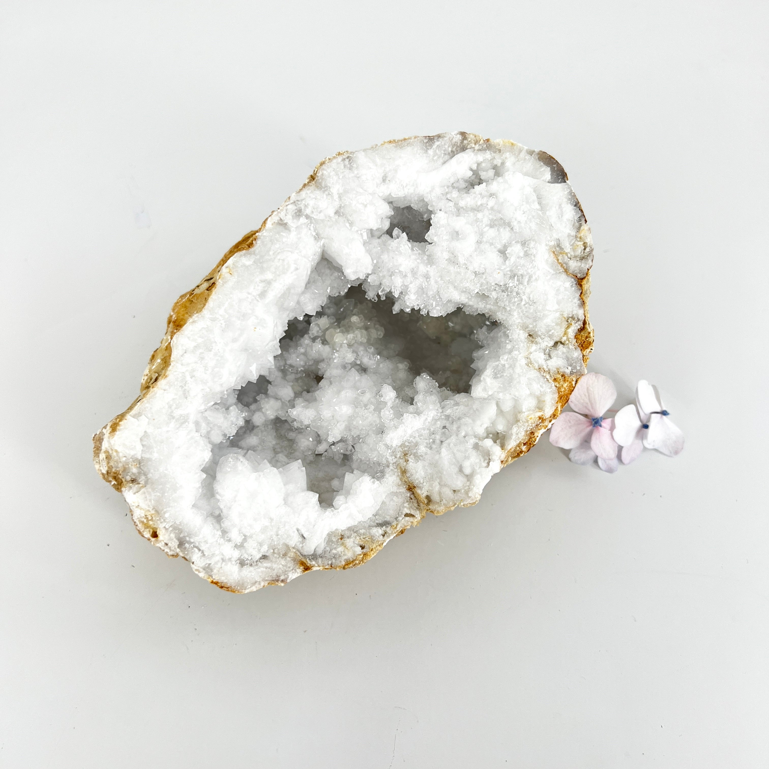 Large Crystals NZ: Clear quartz crystal geode half