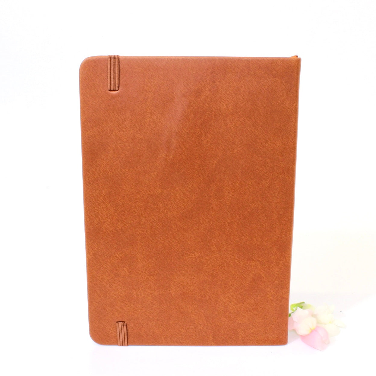 Vegan leather moon journal: exclusive to ASH&STONE | Crystal Shop Auckland NZ