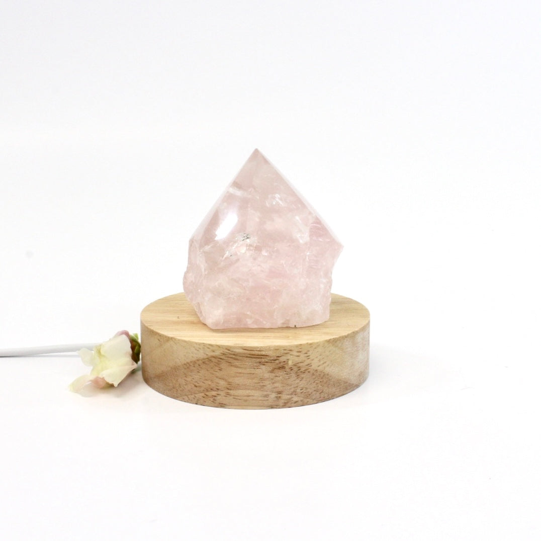 Rose quartz crystal lamp on LED wooden base: ASH&STONE Crystal Lamps NZ