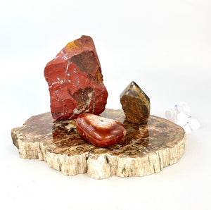 Crystal Packs NZ: Large bespoke petrified wood & crystals interior pack