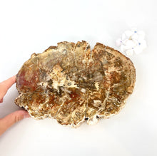 Load image into Gallery viewer, Crystal Packs NZ: Large bespoke petrified wood &amp; crystals interior pack
