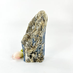Crystals NZ: Kyanite crystal with cut base