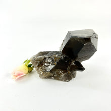 Load image into Gallery viewer, Crystals NZ: Smoky quartz crystal cluster
