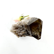 Load image into Gallery viewer, Crystals NZ: Smoky quartz crystal cluster
