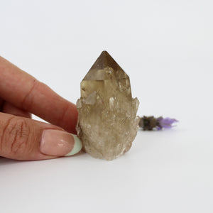 Crystals NZ: Kundalini Natural Citrine Crystal Clustered Point - extremely rare