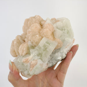 Large Crystals NZ: Large apophyllite crystal cluster