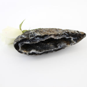 Crystals NZ: Agate crystal geode half