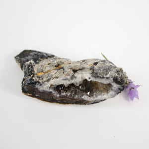 Crystals NZ: Agate crystal geode half