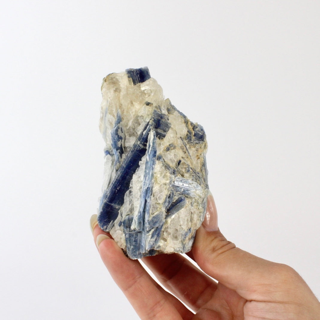 Crystals NZ: Kyanite crystal with cut base