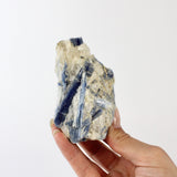 Crystals NZ: Kyanite crystal with cut base