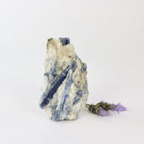 Crystals NZ: Kyanite crystal with cut base
