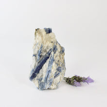 Load image into Gallery viewer, Crystals NZ: Kyanite crystal with cut base
