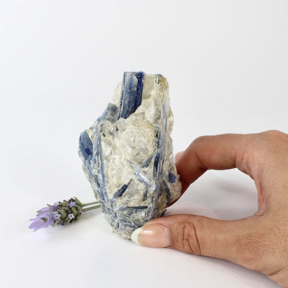 Crystals NZ: Kyanite crystal with cut base