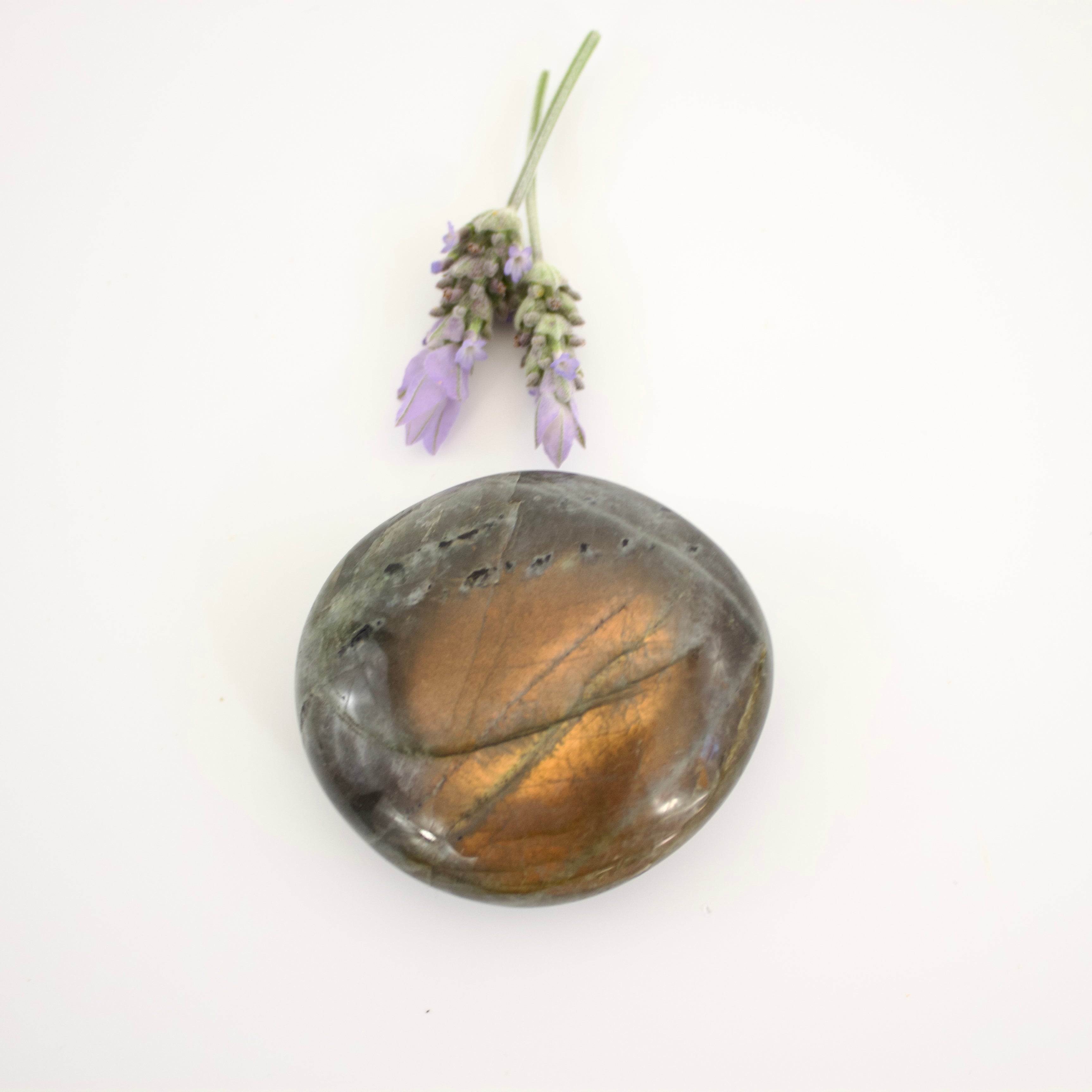 Crystals NZ: Lavender labradorite crystal palm stone