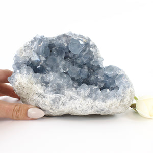 Large Crystals NZ: Large celestite crystal geode - 2.96kg
