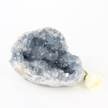 Load image into Gallery viewer, Large Crystals NZ: Large celestite crystal geode - 2.96kg
