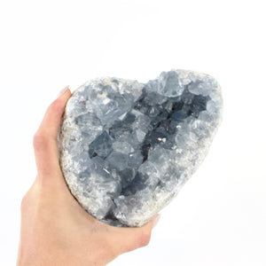Large Crystals NZ: Large celestite crystal geode - 2.96kg