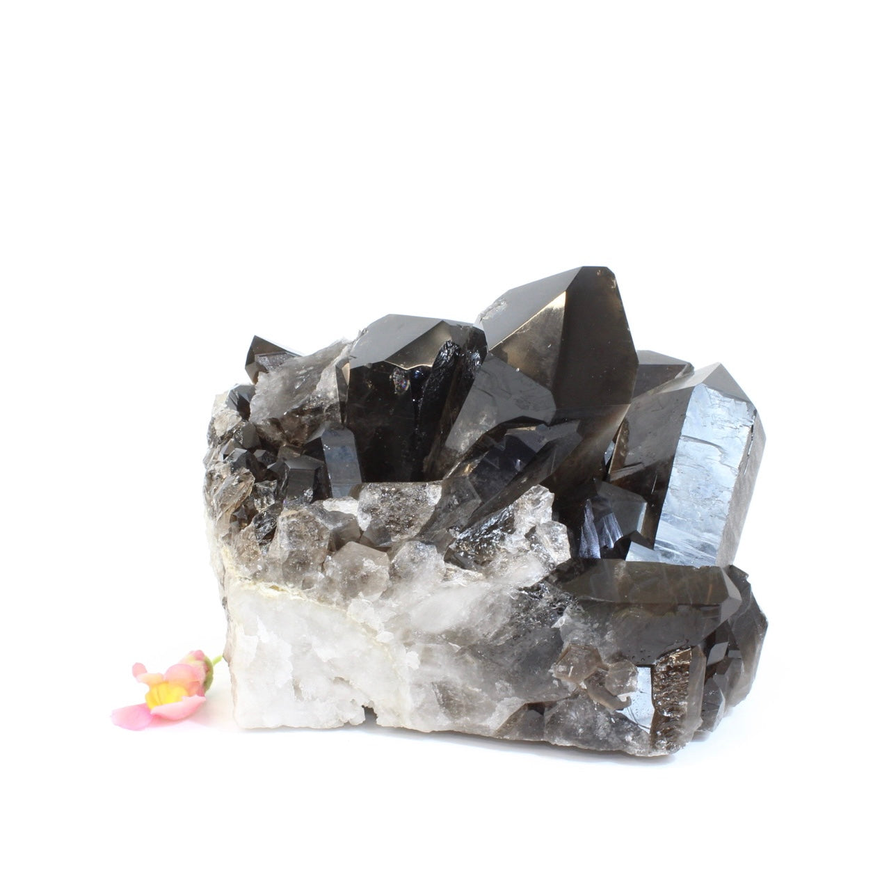 Large Crystals NZ: Large smoky quartz crystal cluster 4.97kg