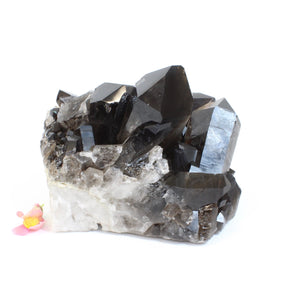 Large Crystals NZ: Large smoky quartz crystal cluster 4.97kg