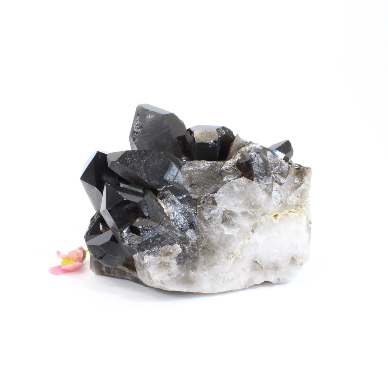 Large Crystals NZ: Large smoky quartz crystal cluster 4.97kg