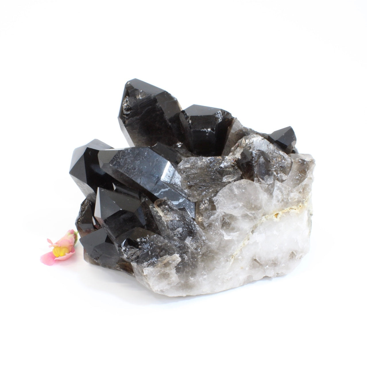 Large Crystals NZ: Large smoky quartz crystal cluster 4.97kg