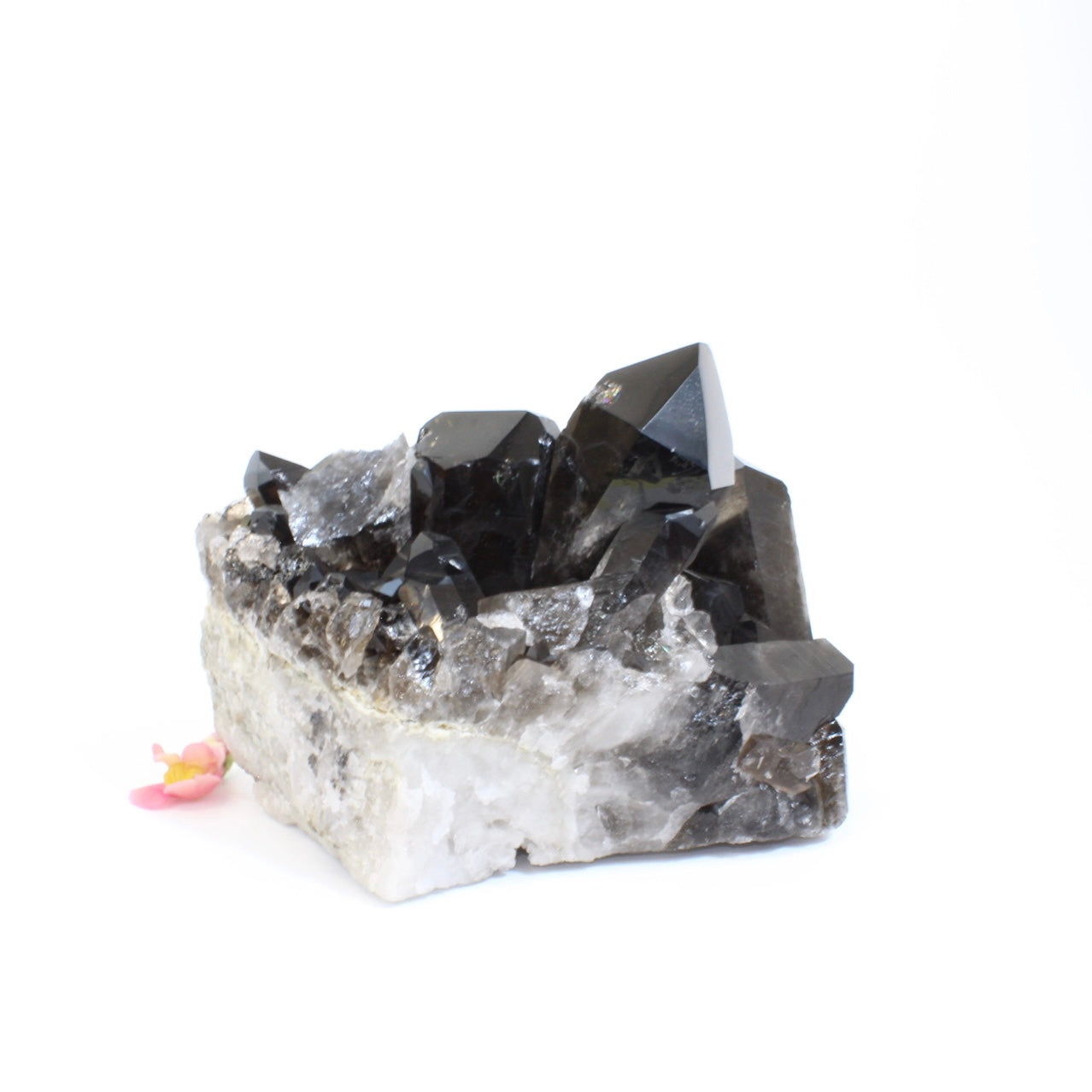 Large Crystals NZ: Large smoky quartz crystal cluster 4.97kg