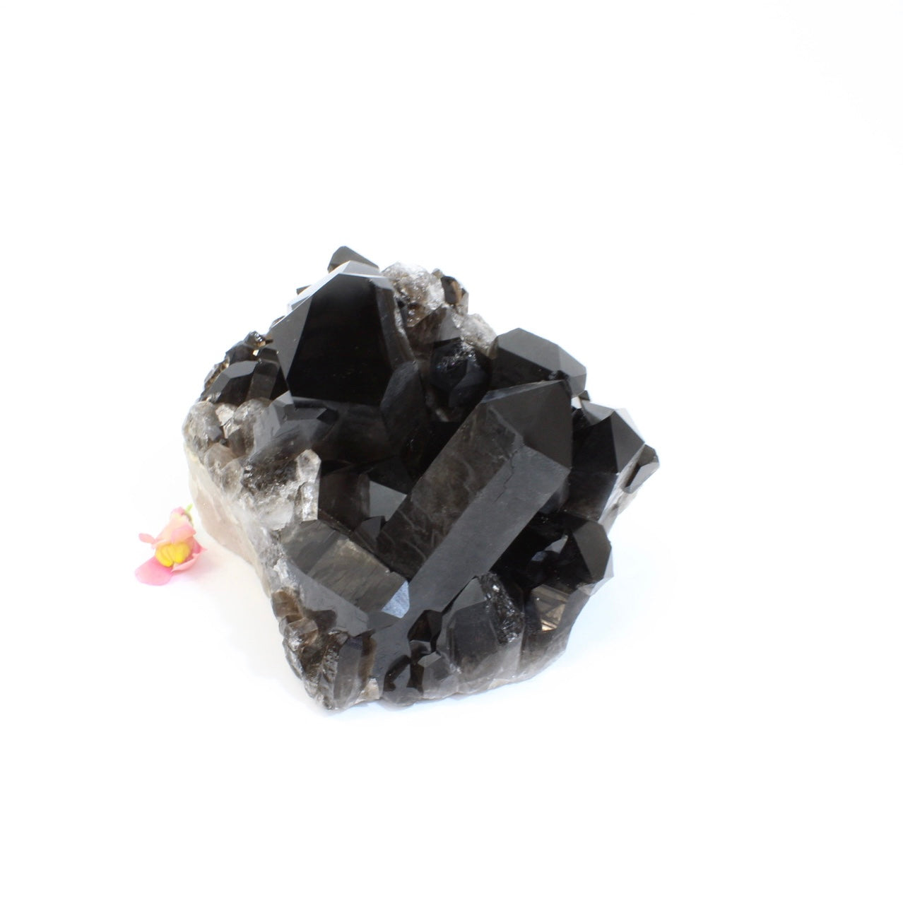Large Crystals NZ: Large smoky quartz crystal cluster 4.97kg