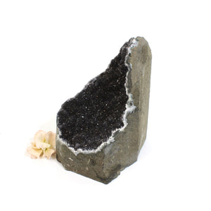 Crystals NZ: Black amethyst crystal cluster